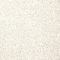 Ковролин AW Invictus Carolus 3 фото 1 | FLOORDEALER